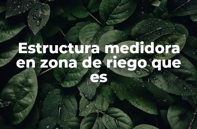 Estructura Medidora en Zona de Riego que es 2 La importancia de contar con una medición precisa en canales de riego