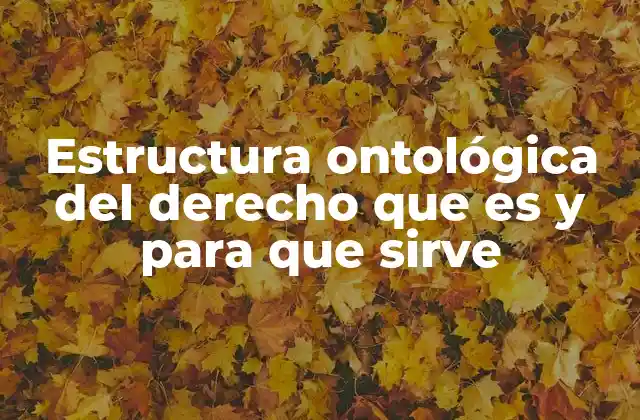 Estructura Ontológica Del Derecho que es y para que Sirve