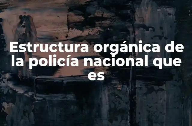 Estructura Orgánica de la Policía Nacional que es 2 La importancia de la organización en la gestión policial