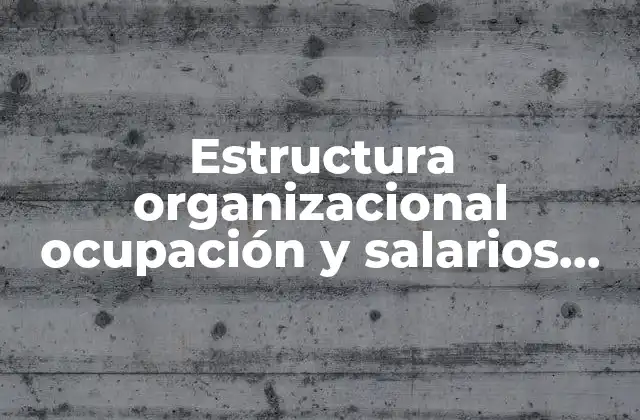 Estructura Organizacional Ocupación y Salarios que es