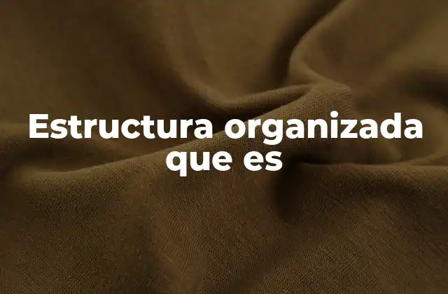 Estructura Organizada que es