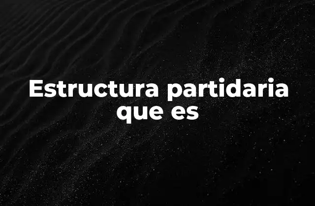 Estructura Partidaria que es