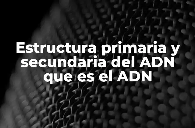 Estructura Primaria y Secundaria Del Adn que es el Adn