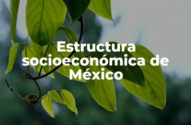 La organización social y económica en México