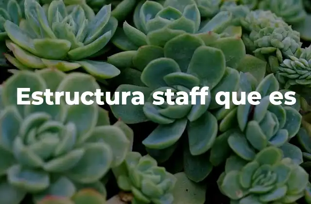 Estructura Staff que es