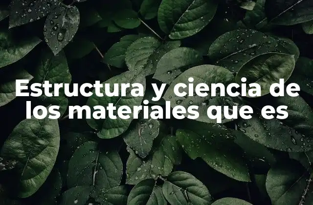 Estructura y Ciencia de los Materiales que es