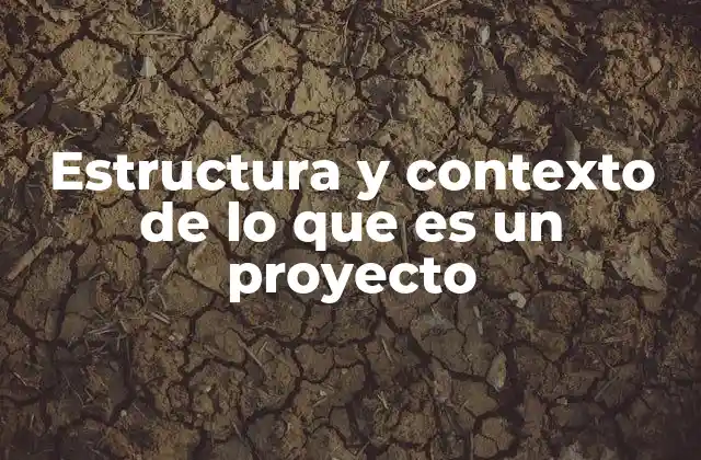 Estructura y Contexto de Lo que es un Proyecto