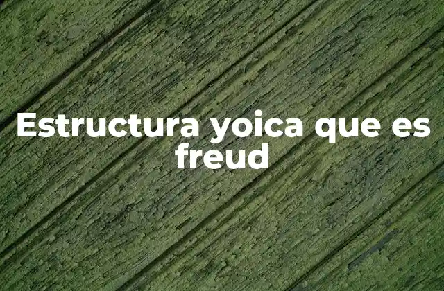 Estructura Yoica que es Freud