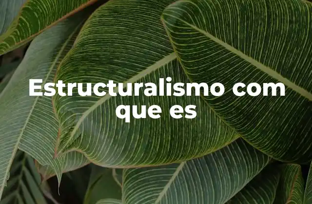 Estructuralismo Com que es