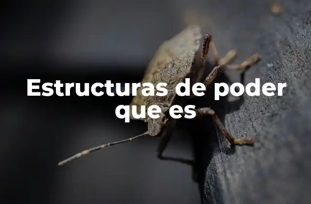 Estructuras de Poder que es