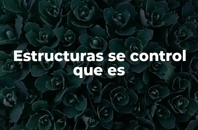 Estructuras Se Control que es