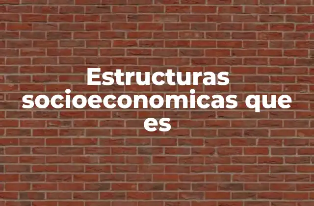 Estructuras Socioeconomicas que es