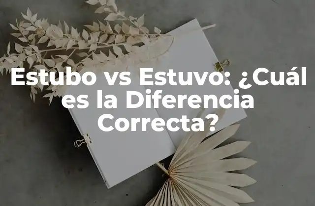 Orígenes y Evolución de Estubo y Estuvo