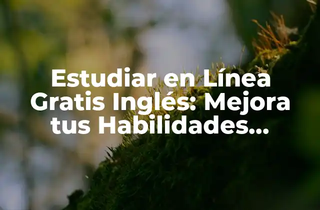 Estudiar en Línea Gratis Inglés: Mejora Tus Habilidades Lingüísticas sin Gastar un Peso