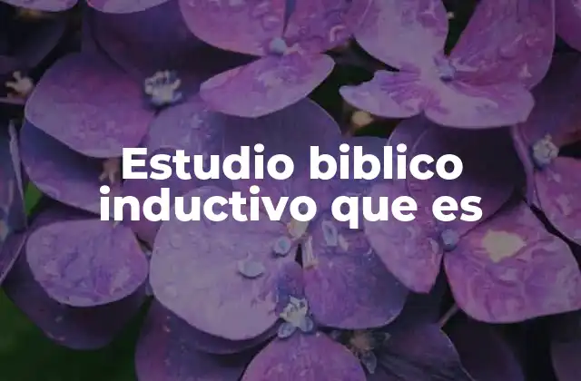 Estudio Biblico Inductivo que es