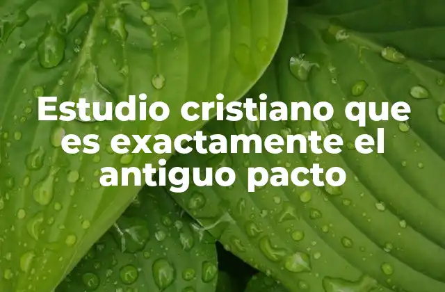 Estudio Cristiano que es Exactamente el Antiguo Pacto 2 La continuidad y transformación en la revelación divina