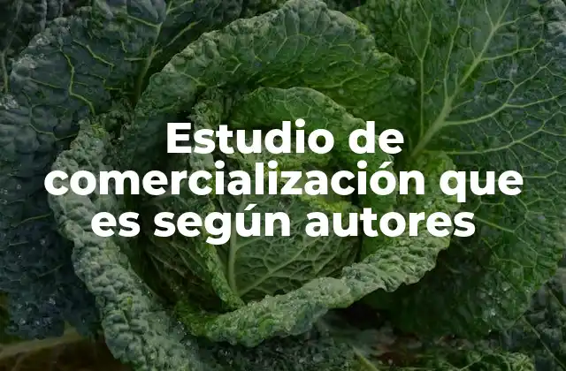 Estudio de Comercialización que es según Autores