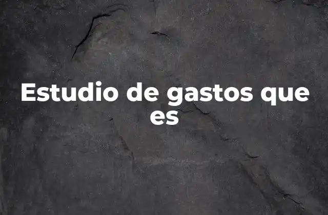 Estudio de Gastos que es