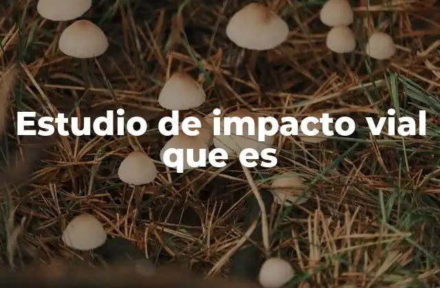 Estudio de Impacto Vial que es