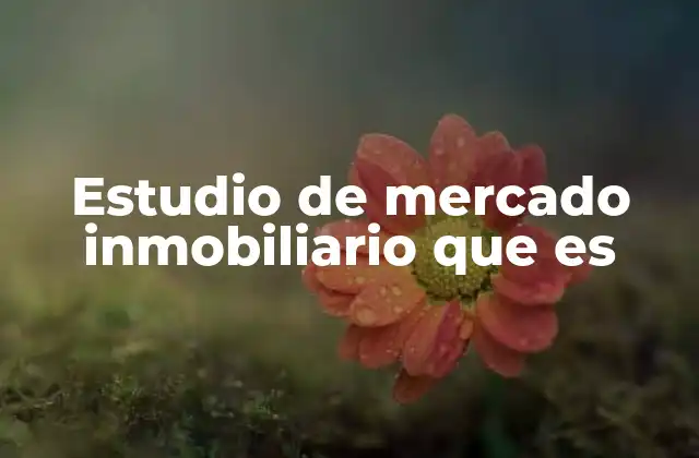 Estudio de Mercado Inmobiliario que es