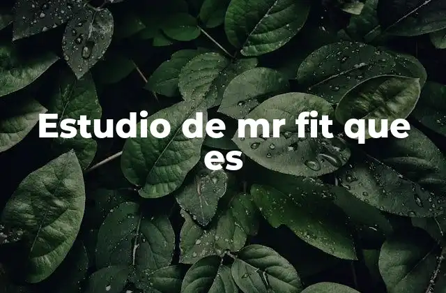 Estudio de Mr Fit que es