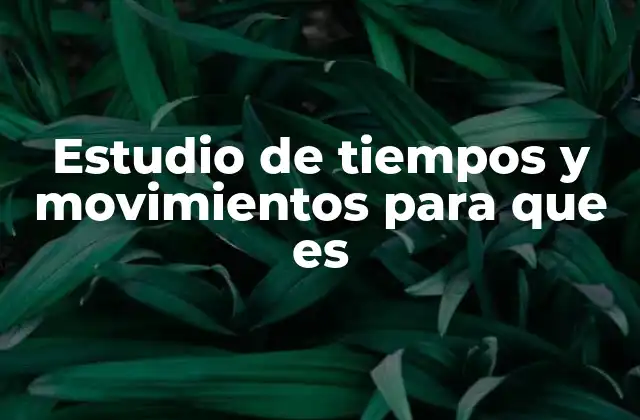 Estudio de Tiempos y Movimientos para que es