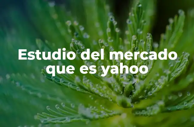 Estudio Del Mercado que es Yahoo