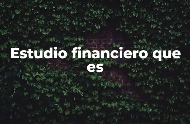 Estudio Financiero que es