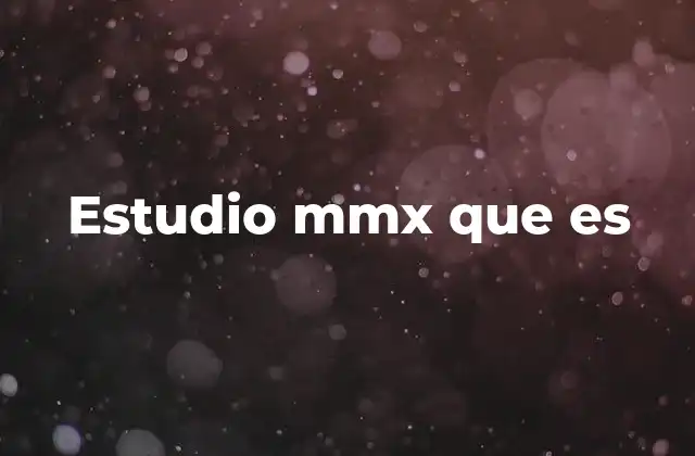 Estudio Mmx que es