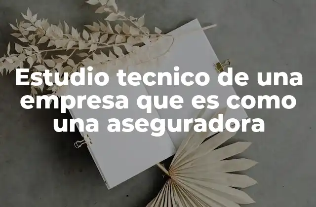 Estudio Tecnico de una Empresa que es como una Aseguradora