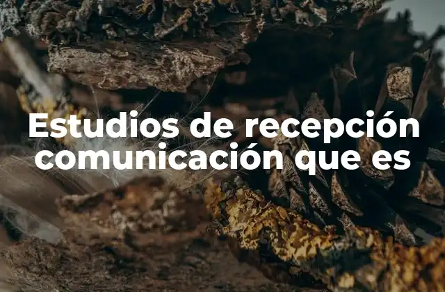 Estudios de Recepción Comunicación que es 2 La importancia del contexto en la recepción de mensajes