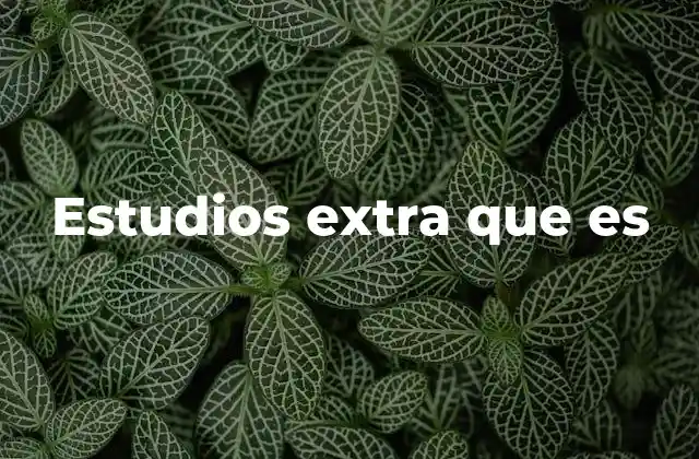 Estudios Extra que es