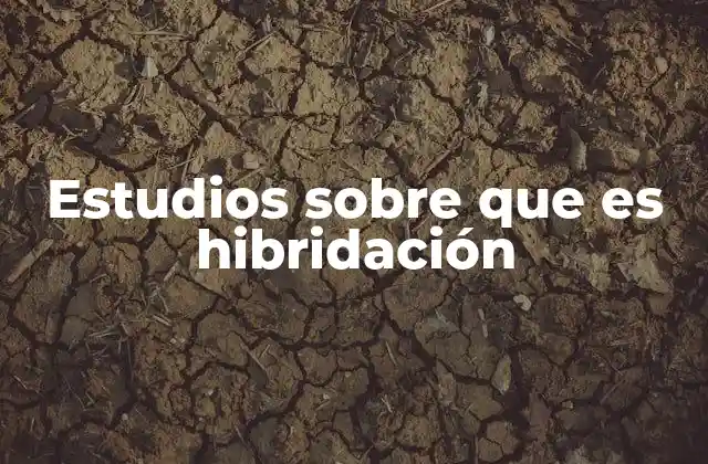 Estudios sobre que es Hibridación