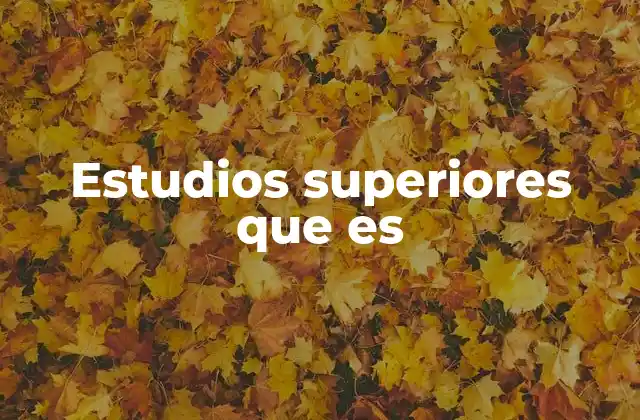 Estudios Superiores que es