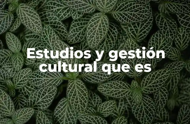 Estudios y Gestión Cultural que es