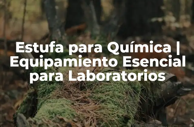 Estufa para Química | Equipamiento Esencial para Laboratorios 2 ¿Qué es una Estufa para Química?