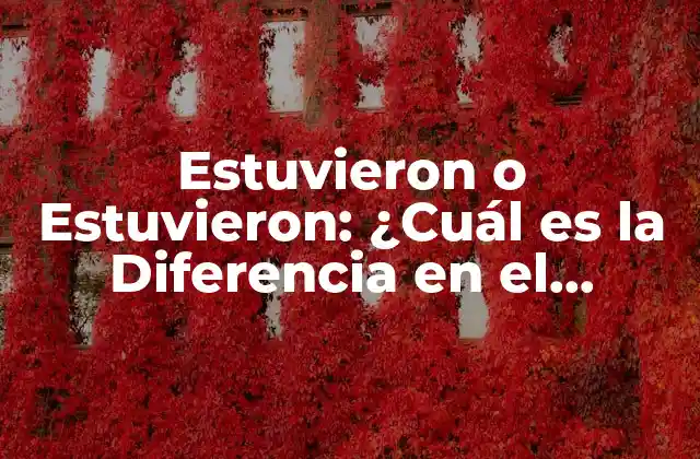 Estuvieron o Estuvieron: ¿cuál es la Diferencia en el Tiempo Verbal?