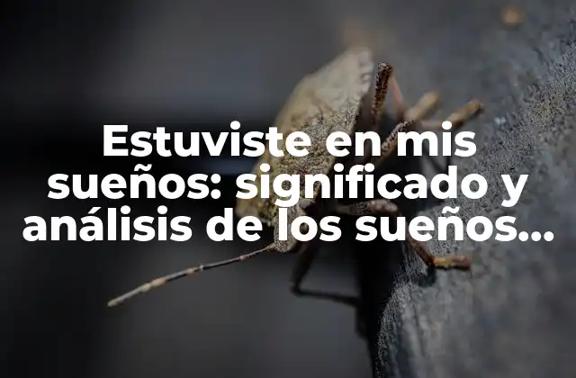 Estuviste en Mis Sueños: Significado y Análisis de los Sueños con Apariciones de Alguien