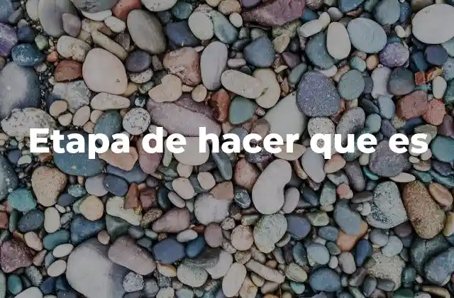 Etapa de Hacer que es