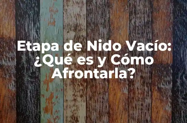 Etapa de Nido Vacío: ¿qué es y Cómo Afrontarla?