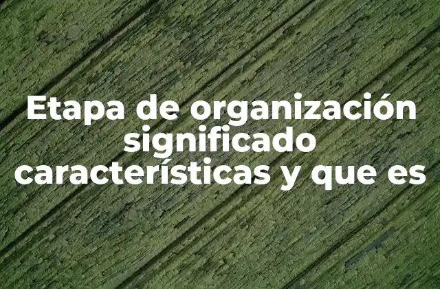 Etapa de Organización Significado Características y que es