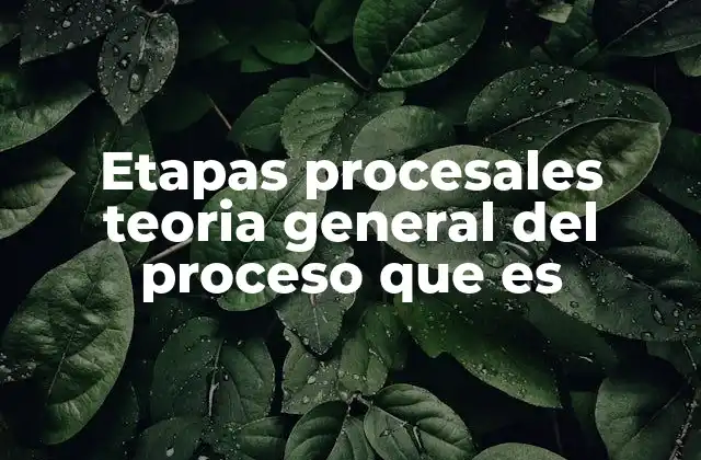 Etapas Procesales Teoria General Del Proceso que es