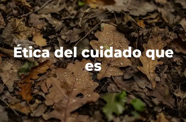 Ética Del Cuidado que es