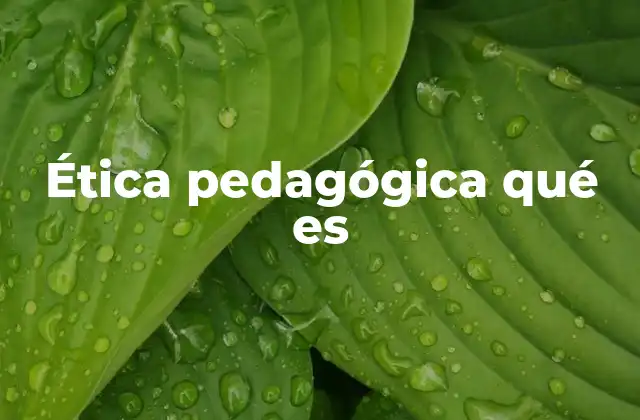 Ética Pedagógica Qué es