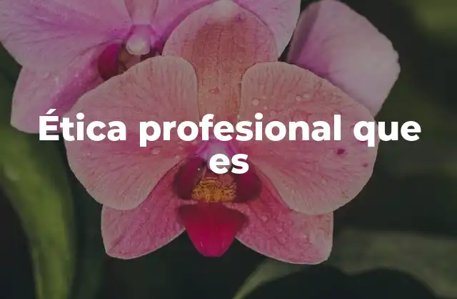 Ética Profesional que es