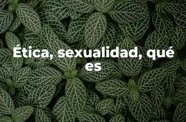 Ética, Sexualidad, Qué es 2 Reflexiones sobre el papel de la moral en la vida íntima