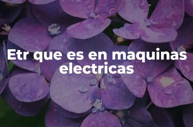 Etr que es en Maquinas Electricas
