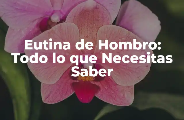 ¿Qué es la Eutina de Hombro?