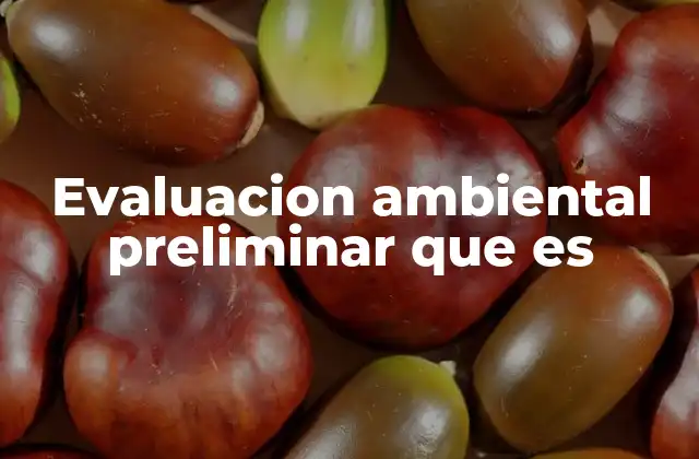 Evaluacion Ambiental Preliminar que es