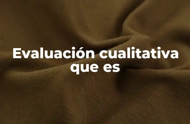 Evaluación Cualitativa que es